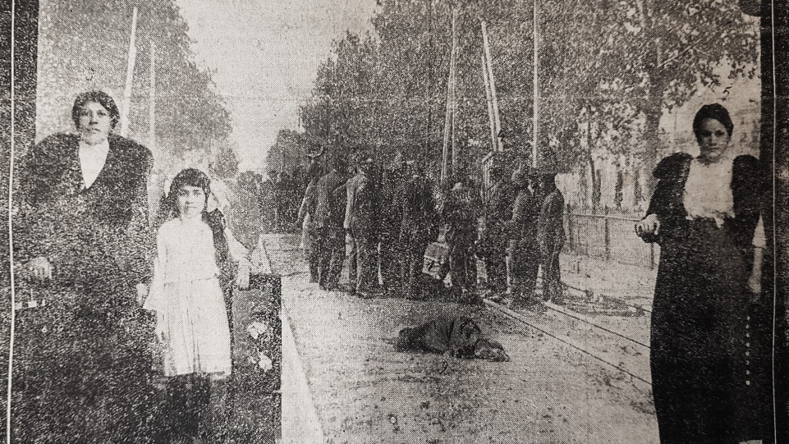 La leyenda de los claveles rojos y blancos: Testigos silenciosos de una sangrienta huelga ferroviaria en 1917